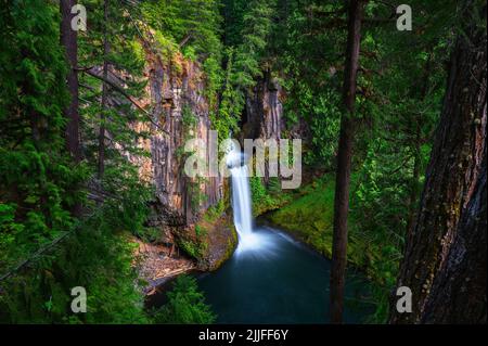 Cascate di Toketee nella contea di Douglas, Oregon Foto Stock