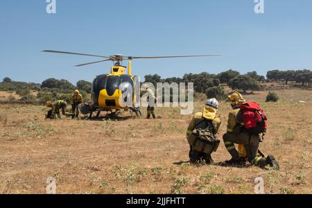 Spagna - Ávila - Mironcillo - ondata di incendi in Spagna - a causa delle alte temperature e di una storica ondata di caldo, molti incendi boschivi colpiscono la penisola iberica. Le brigate e i vigili del fuoco stanno cercando eroicamente di affrontare le fiamme che stanno diventando sempre più intrattabili e difficili da estinguere. Foto Stock