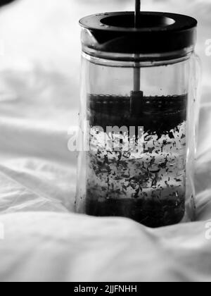 Uno scatto verticale in scala di grigi di un French Press con tè su lenzuola Foto Stock