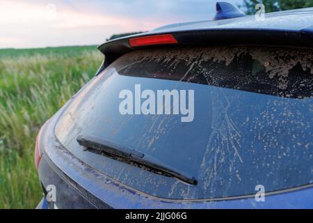 Vetro sporco per auto con tergicristallo e terza luce di stop, lunotto coperto da uno strato di polvere. Foto Stock