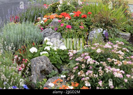 Fiori rockery con lobelia, lizzie occupato, notte profumato stock, candytuft, cornflowers, begonias, lavanda, geranio, campana canterbury, spirea Foto Stock