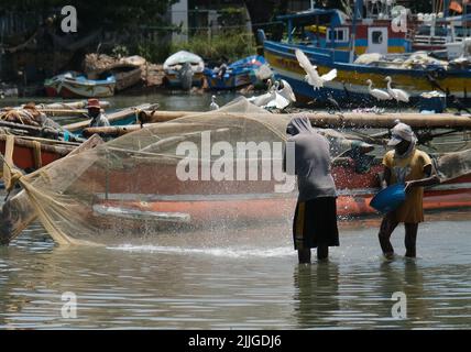 Negombo, Sri Lanka. 26th luglio 2022. I pescatori lavorano in un villaggio di pescatori a Negombo, Sri Lanka, 26 luglio 2022. A causa della scarsità di olio combustibile, molti pescatori dello Sri Lanka si sono rivolti a barche a vela tradizionali a motore umano per pescare per vivere. Credit: Wang Shen/Xinhua/Alamy Live News Foto Stock