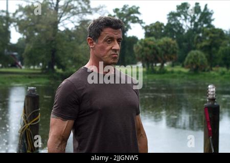 SYLVESTER STALLONE, BULLET ALLA TESTA, 2012 Foto Stock