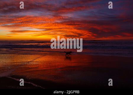 Tramonto a San Francisco Foto Stock