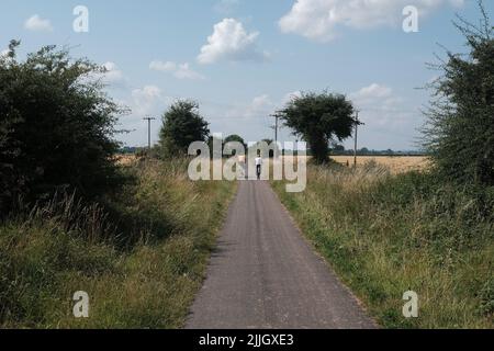 Due ciclisti si allontanano lungo il percorso ciclistico Trans Pennine Trail e camminano attraverso i terreni agricoli dell'East Yorkshire con siepi laterali. Foto Stock