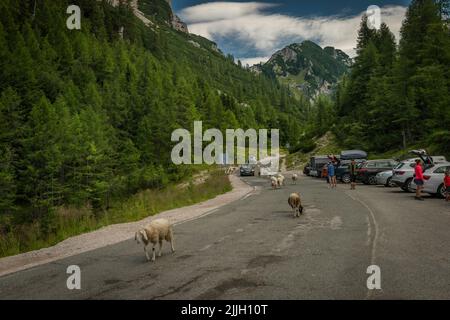 Si passa sulla strada vicino alla valle del fiume Soca in estate caldo cielo blu giorno Foto Stock