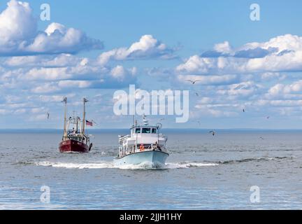 Charter barche da pesca lazybones seguito da commerciale peschereccio legge 1 Foto Stock