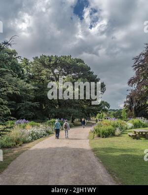 Staffordshire Lakeside pathway Sunny day Landscape, Stoke-on-Trent, Regno Unito Foto Stock