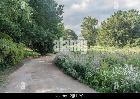 Staffordshire Lakeside pathway Sunny day Landscape, Stoke-on-Trent, Regno Unito Foto Stock