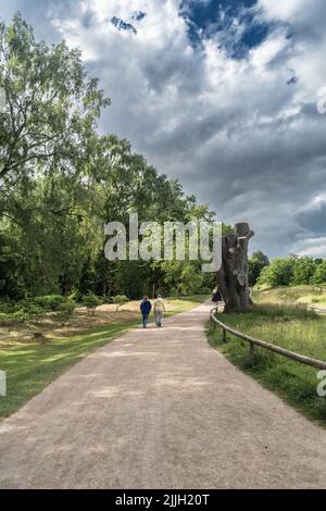 Staffordshire Lakeside pathway Sunny day Landscape, Stoke-on-Trent, Regno Unito Foto Stock