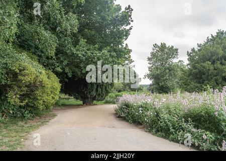 Staffordshire Lakeside pathway Sunny day Landscape, Stoke-on-Trent, Regno Unito Foto Stock