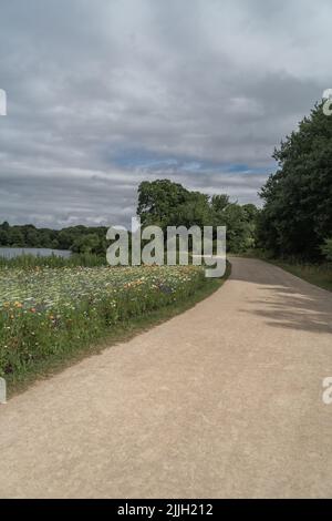 Staffordshire Lakeside pathway Sunny day Landscape, Stoke-on-Trent, Regno Unito Foto Stock