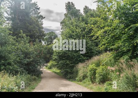 Staffordshire Lakeside pathway Sunny day Landscape, Stoke-on-Trent, Regno Unito Foto Stock