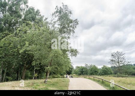 Staffordshire Lakeside pathway Sunny day Landscape, Stoke-on-Trent, Regno Unito Foto Stock
