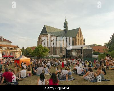 Brno, Repubblica Ceca, agosto 2022: Folla in concerto - festival estivo di musica, foto Foto Stock