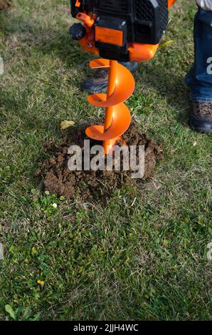 drukkubg naching preparazione di buchi nel terreno per piantare nuove piante, ad esempio le piante d'uva Foto Stock