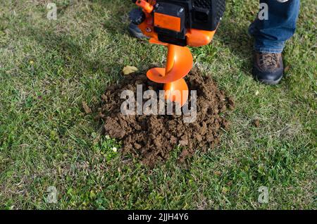 drukkubg naching preparazione di buchi nel terreno per piantare nuove piante, ad esempio le piante d'uva Foto Stock