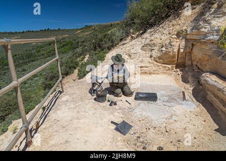 Kemmerer, Wyoming - Monumento Nazionale di Fossil Butte. Dawn Allen-Carlson, paleontologo del Park Service, prende appunti su ciò che sta trovando in un piccolo Foto Stock