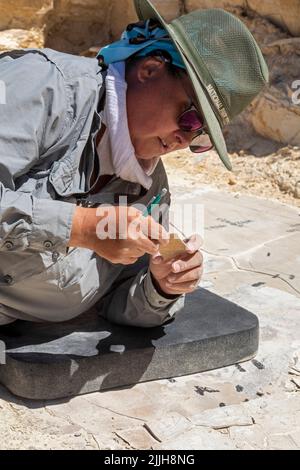 Kemmerer, Wyoming - Monumento Nazionale di Fossil Butte. Dawn Allen-Carlson, paleontologo del Park Service, scava accuratamente i fossili in una piccola cava. Foto Stock