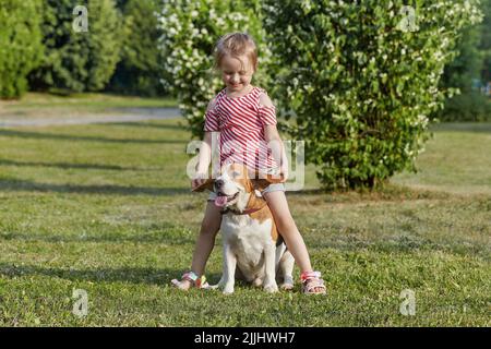 piccola ragazza bianca sta giocando con un cane beagle. foto sparare in estate sulla strada Foto Stock