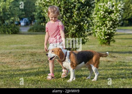 piccola ragazza bianca sta giocando con un cane beagle. foto sparare in estate sulla strada Foto Stock