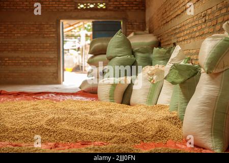 Sacchi utilizzati nella produzione di caffè in fattoria in Africa Foto Stock