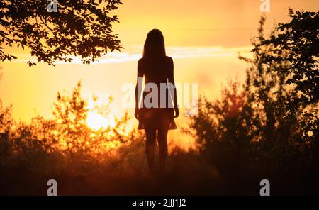 Vista posteriore della giovane donna in abito estivo che cammina da sola attraverso la foresta scura sera Foto Stock