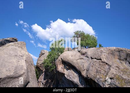 Enormi formazioni rocciose di massi alte in montagna con alberi in crescita in estate giorno di sole Foto Stock