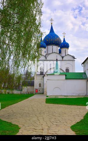 Parco vicino alla città vecchia. Il cortile della Cattedrale della Natività del Santissimo Teotokos dei secoli XIII-XVI. Suzdal, Russia, 2022. Foto Stock