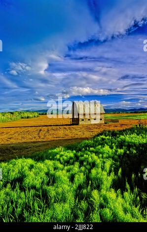 Un'immagine verticale di un fienile in cima a una collina con nuvole di tempesta che passano sopra nella campagna della Columbia Britannica Canada. Foto Stock