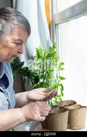 primo piano donna anziana pianta semi in terra in pentole di torba sulla veranda casa di campagna. Donna anziana è giardinaggio, Giornata Mondiale dell'ambiente, focu selettivo Foto Stock