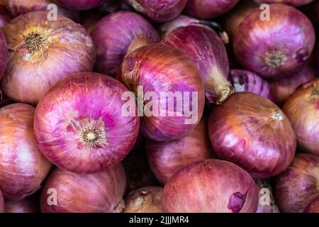 cipolla fresca biologica da fattoria in primo piano da diverse angolazioni Foto Stock