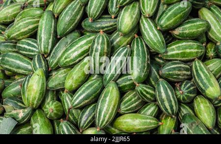 zucca fresca a punta biologica dalla fattoria in primo piano da diverse angolazioni Foto Stock