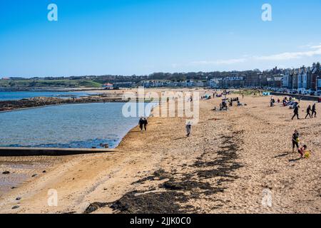 I visitatori godono del sole primaverile sulla spiaggia di Milsey Bay, con piscina marea in primo piano, North Berwick, East Lothian, Scozia, Regno Unito Foto Stock