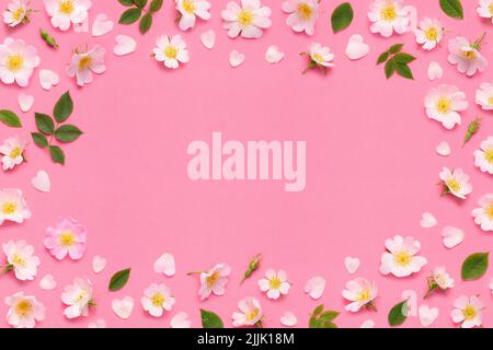 Fiori di rosa cornice bordo, foglie boccioli e petali a forma di cuore su sfondo rosa vista dall'alto piatto Foto Stock