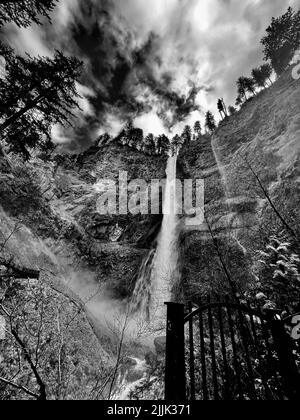 Un angolo basso di una cascata che scorre lungo le rocce ricoperte di alberi sparati in scala di grigi Foto Stock