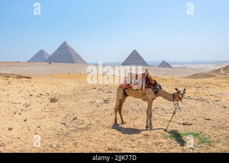 Giza, Egitto; 27 luglio 2022 - una vista delle piramidi a Giza, Egitto Foto Stock