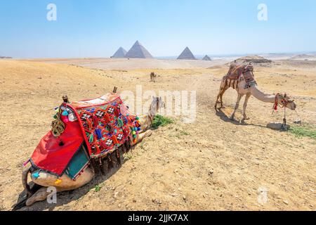 Giza, Egitto; 27 luglio 2022 - una vista delle piramidi a Giza, Egitto Foto Stock