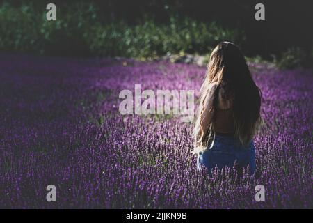 Una donna in piedi nel mezzo del campo di lavanda Foto Stock