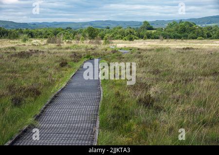 Una passerella consente ai visitatori di esplorare Cors Caron (Tregaron Bog), Ceredigion, Galles Foto Stock