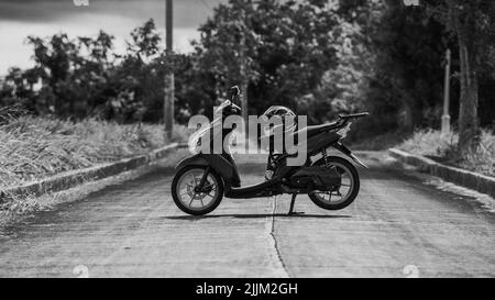 Una foto in scala di grigi di una motocicletta con un casco su una strada in un parco autunnale Foto Stock