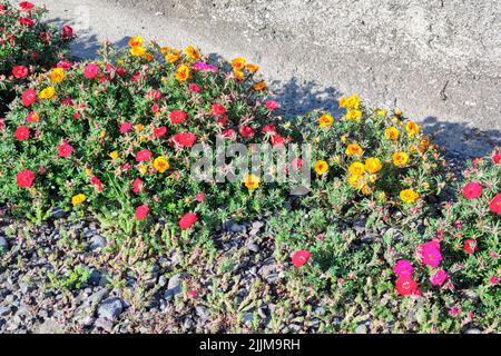 Portici colorati sul lato della strada Foto Stock