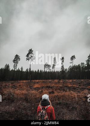 Una vista posteriore verticale di una ragazza caucasica in un campo con una foresta di conifere sotto le nuvole, Lettonia Foto Stock