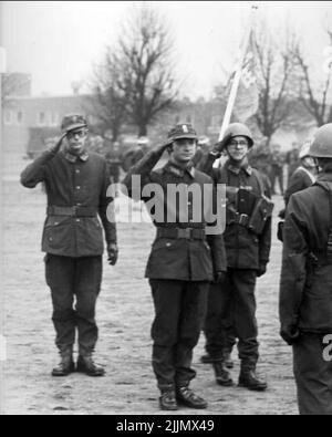 Re Carl XVI Gustaf in visita Foto Stock