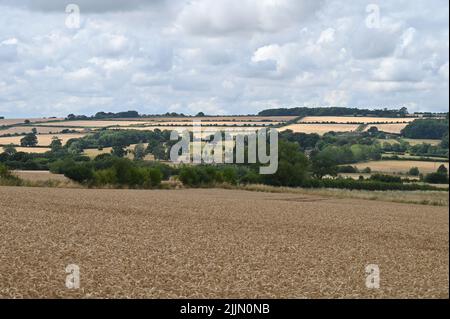 Campi vicino al villaggio di Oxfordshire di Ascott sotto Wychwood che mostrano quanto asciutto la campagna è e le siepi tra ogni campo che mostrano il resul Foto Stock