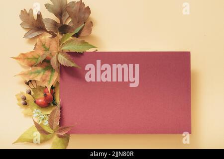 biglietto di auguri maroon mockup vacanza autunno foglie Foto Stock