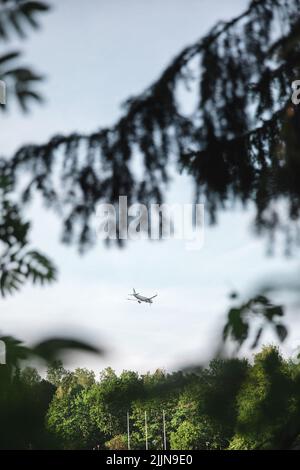 Un colpo verticale dell'aeroplano che vola nel cielo, visto attraverso rami di albero. Foto Stock