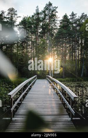 Un colpo verticale di una passerella nel parco nazionale Nuuksio, Espoo, Finlandia Foto Stock