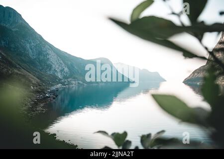 Una bella vista sul lago tranquillo visto attraverso foglie sfocate Foto Stock