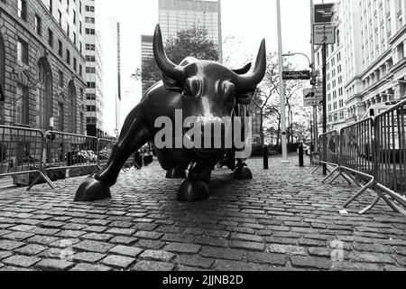 New York, NY - 2 novembre 2021: Il famoso Wall Street Charging Bull a Broadway nel quartiere finanziario della città Foto Stock